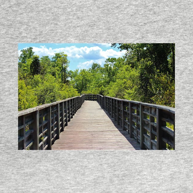 Boardwalk Trail by Cynthia48